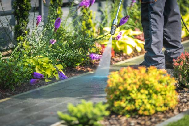 Best Winterizing Services  in Manahawkin, NJ